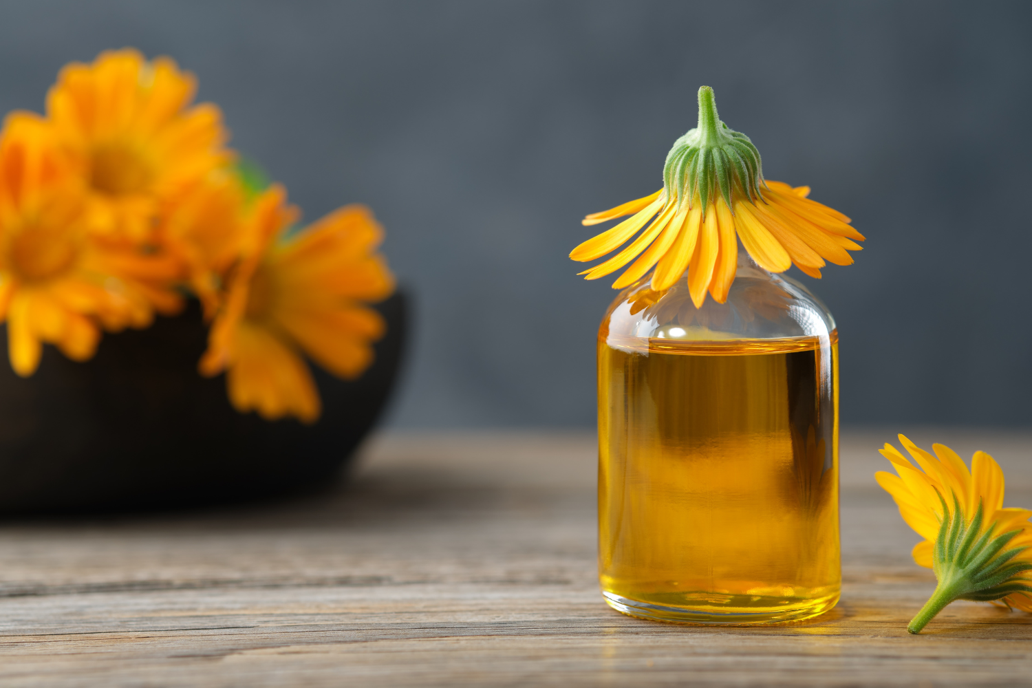 The power of Golden flower- Calendula in skincare