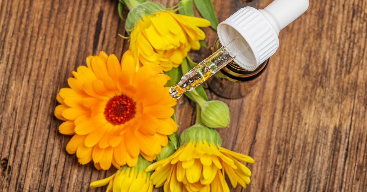 Nourish Your Skin This Fall